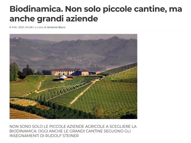 Gambero Rosso - Biodinamica non solo piccole cantine ma anche grandi aziende