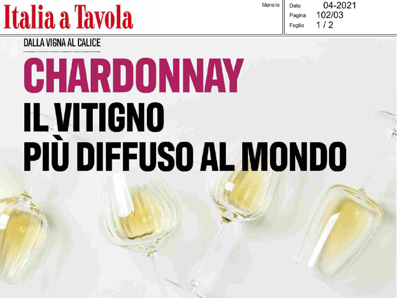 Italia a Tavola - Chardonnay il vitigno più diffuso al mondo