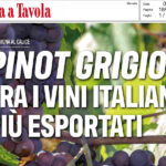 Italia a Tavola - Pinot Grigio tra i vini italiani più esportati