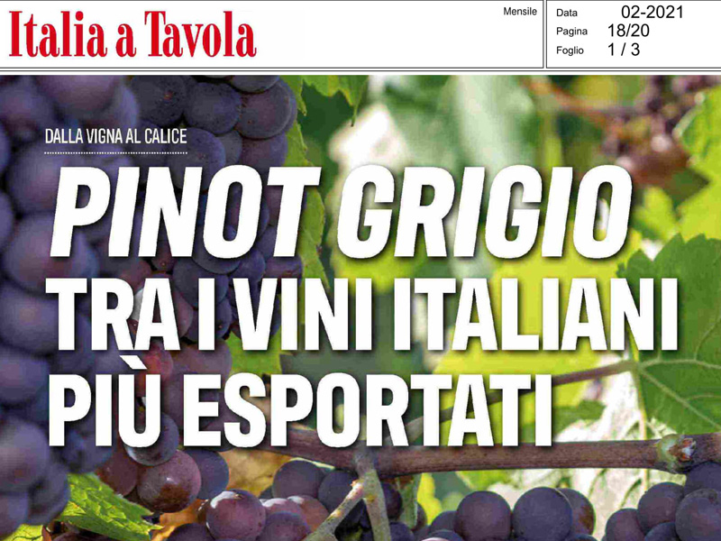 Italia a Tavola - Pinot Grigio tra i vini italiani più esportati