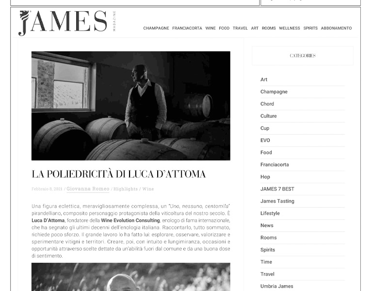 Luca D'Attoma su James Magazine