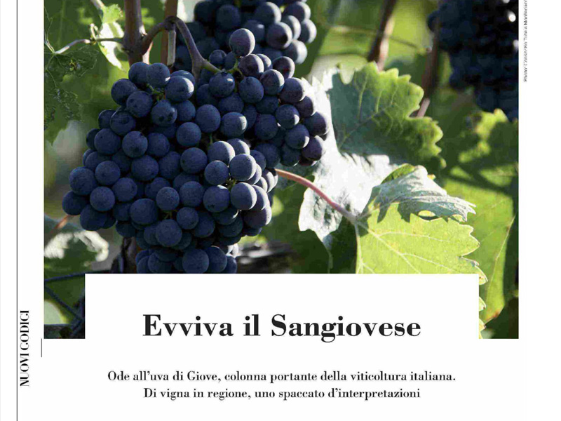 Winecouture - Evviva il Sangiovese